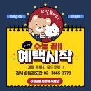 강서 송림 검도관 이미지