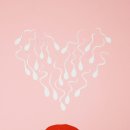 경희용뜸한의원 | 불임치료, 남성과 여성 모두의 이야기! 🧑‍⚕️ 기본 개념부터 경주 한의원 치료까지 총정리