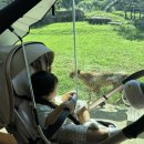 윤서축산 이미지