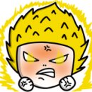 더 리얼 피티 이미지