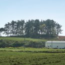 영광 월산리 월계고분군 이미지