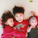 하늘곰스튜디오