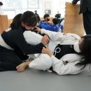 일광주짓수아카데미 이미지