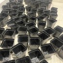 6640 | 알리익스프레스 바질 묘목 화분 후기: 7cm 50개 6640원, 냄새 제거부터 옮기기 준비