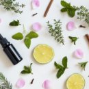 오라카이 송도파크호텔 이미지