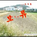 이윤희공인중개사사무소 이미지