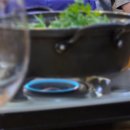 건배식당 | 영종도 운서동 숙성회 맛집 | 봄 꽃게찜에 콜키지 프리까지, 흑산도회식당 솔직 후기