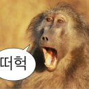 화양반점 이미지