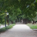 담양관광정보센터 이미지