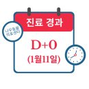 꾸러기동물병원 | 경추 디스크(IVDD)로 인한 강아지 사지마비 치료 사례 및 회복 과정