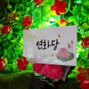 여성안심택배함(이면도로) | 경산용한점집으로 소문난 율하점집 연화당