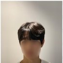 디아룸헤어
