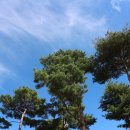 구름나래 이미지