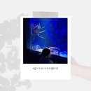 (주)뉴스타팜 | 일산 아쿠아 플라넷 즐기기 심화편 4살 아이와 아쿠아리움에 가면 좋은점