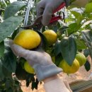 윤지농장 이미지