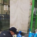 일동한미약국 이미지