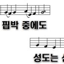 336 이미지