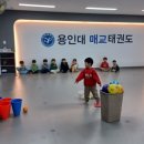 용인대 매교태권도장 이미지