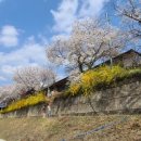 미가식당 이미지