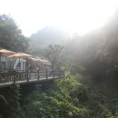 나무사이에 자연속으로 이미지