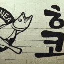 해수네코다리 네이버블로그