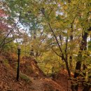 산과수원민박 | [영주/가볼만한곳] 부석사 - 가을 단풍 명소, 일몰(주차꿀팁)