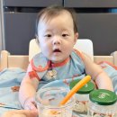 5개월 아기 초기 이유식 시작, cle 클레 내돈내산 후기(유리병 이유식 추천인코드 jet0oqwc)