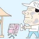 김타일 이미지