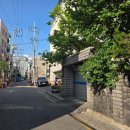 이비비(ebb) | 바나나 푸딩이 너무 맛있는 장한평역 카페 이비비(ebb)