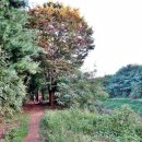 지영인조잔디구장 이미지