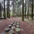 붉은오름자연휴양림 이미지