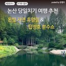 온빛스튜디오 | 논산 당일치기 여행 코스 추천 |온빛자연휴양림부터 탑정호 출렁다리 음악분수대까지!🌿