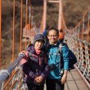 충주호 종댕이 이미지