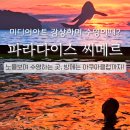 161-2-000029 | 파라다이스시티 씨메르 워터파크 인천 겨울데이트 추천 주차 할인 무료, 유료 이용꿀팁 총정리!