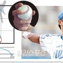 커브