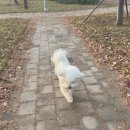 하이동물병원 이미지