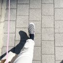 위드댕댕 이미지