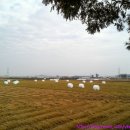 봉강가술로 이미지