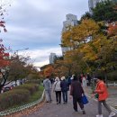 장자대로 이미지