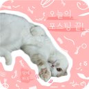 행복한마라탕 본점 이미지