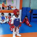 한울태권도교육관 이미지