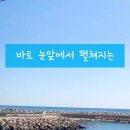 채플린하우스 이미지