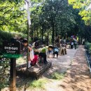 유아동네숲터 이미지