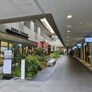 기장식당 | 부산 기장 롯데아울렛 방문 후기 (식당, 행사, 주차)