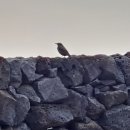 소박한바당쉼터 이미지