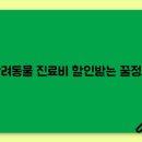 아이러브펫 동물병원 | 반려동물 진료비 할인받는 꿀정보｜동물병원 진료비 절약법 총정리
