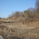 화천흑염소농장 이미지