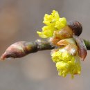 순양농장 이미지