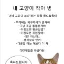 김밥천국포동점 | 이모저모