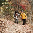 비산한의원 네이버블로그